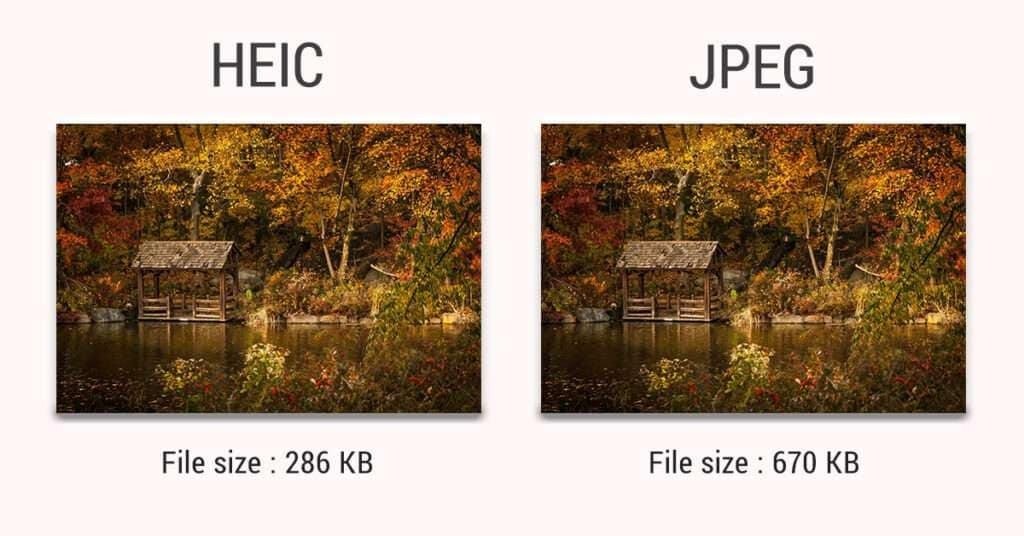 HEIC vs JPG Explained – Which Image Format Should You Use? 1 image 19