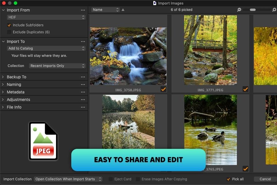 HEIC vs JPG Explained – Which Image Format Should You Use? 4 image 23